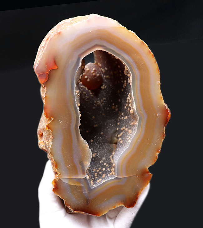 半透明の典型的な縞メノウ（Agate）の晶洞。名産地ブラジル産。半透明で美しいブラウンを呈します（その1）