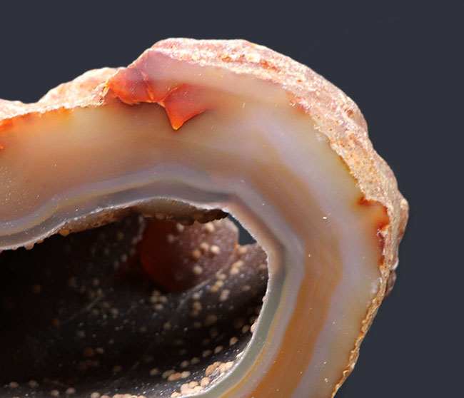 半透明の典型的な縞メノウ（Agate）の晶洞。名産地ブラジル産。半透明で美しいブラウンを呈します（その2）