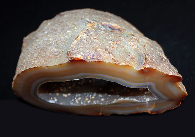 半透明の典型的な縞メノウ(Agate)の晶洞。名産地ブラジル産。半透明で美しいブラウンを呈します(その5)