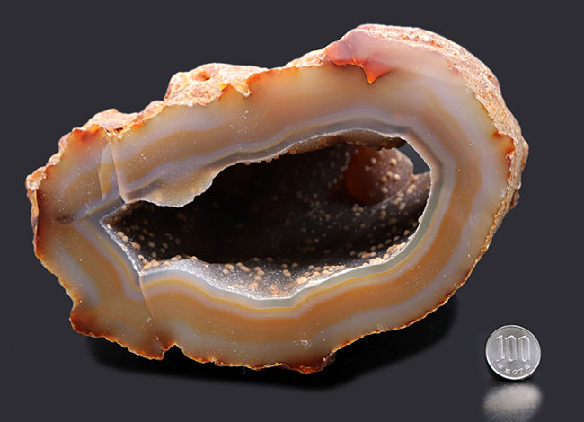 半透明の典型的な縞メノウ（Agate）の晶洞。名産地ブラジル産。半透明で美しいブラウンを呈します（その8）