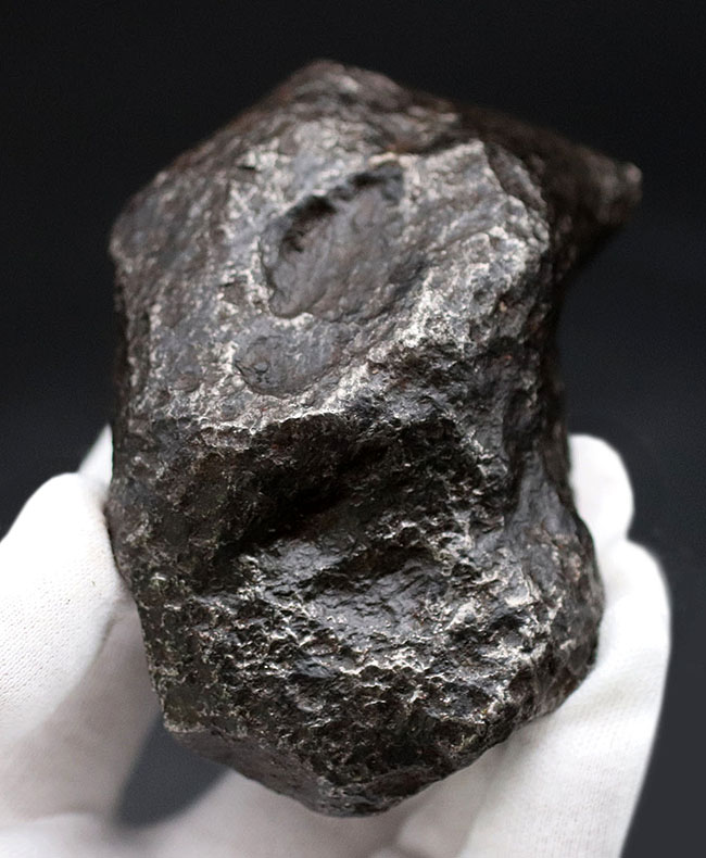 レグマグリップが美しい！重量級！最も有名な鉄隕石の一つ、アルゼンチン・チャコ州に落下したカンポ・デル・シエロ。 隕石 販売