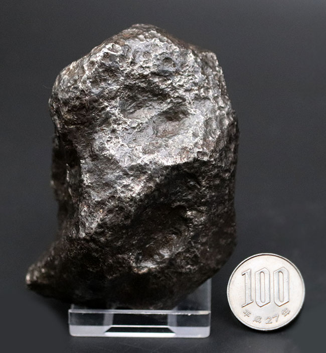 レグマグリップが美しい！重量級！最も有名な鉄隕石の一つ、アルゼンチン・チャコ州に落下したカンポ・デル・シエロ。（その11）