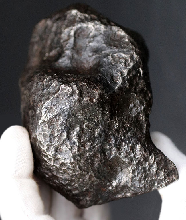 レグマグリップが美しい！重量級！最も有名な鉄隕石の一つ、アルゼンチン・チャコ州に落下したカンポ・デル・シエロ。（その2）