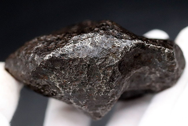 レグマグリップが美しい！重量級！最も有名な鉄隕石の一つ、アルゼンチン・チャコ州に落下したカンポ・デル・シエロ。（その5）