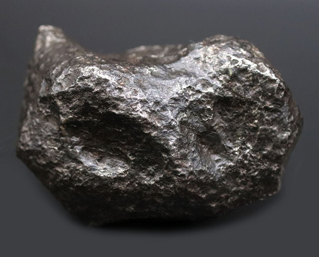レグマグリップが美しい！重量級！最も有名な鉄隕石の一つ、アルゼンチン・チャコ州に落下したカンポ・デル・シエロ。（その9）