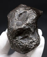 レグマグリップが美しい！重量級！最も有名な鉄隕石の一つ、アルゼンチン・チャコ州に落下したカンポ・デル・シエロ。