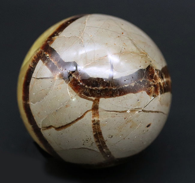 自然が生み出した不思議な鉱物、イエローセプタリアン(Yellow septarian)の珍しいスフィアタイプ(その3)