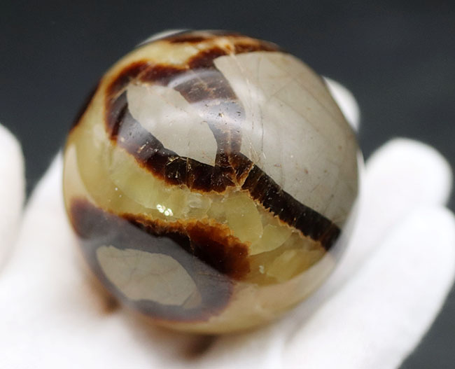 自然が生み出した不思議な鉱物、イエローセプタリアン(Yellow septarian)の珍しいスフィアタイプ(その4)