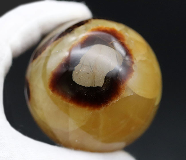 自然が生み出した不思議な鉱物、イエローセプタリアン(Yellow septarian)の珍しいスフィアタイプ(その5)