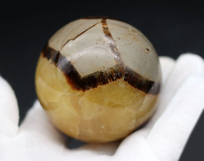 自然が生み出した不思議な鉱物、イエローセプタリアン(Yellow septarian)の珍しいスフィアタイプ(その6)