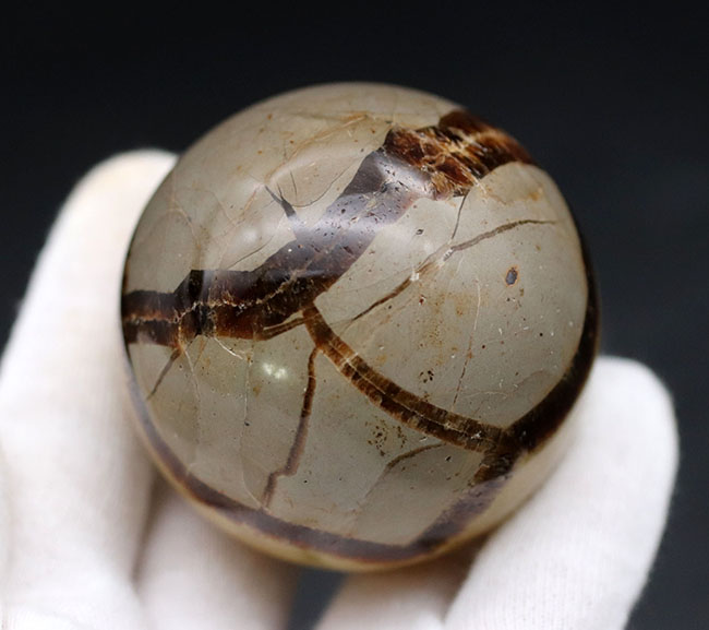 自然が生み出した不思議な鉱物、イエローセプタリアン(Yellow septarian)の珍しいスフィアタイプ(その7)