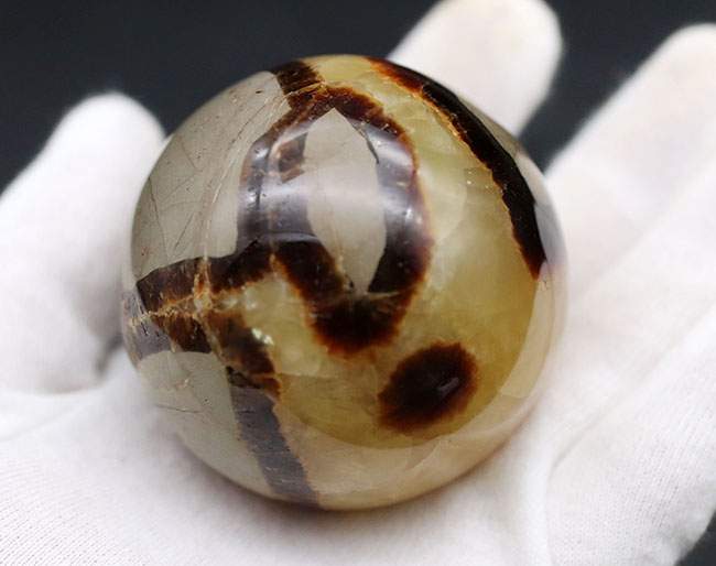 自然が生み出した不思議な鉱物、イエローセプタリアン(Yellow septarian)の珍しいスフィアタイプ(その8)