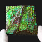 上質！目の醒めるようなグリーン！カナダ産のアンモ”ラ”イト（Ammolite）のピース