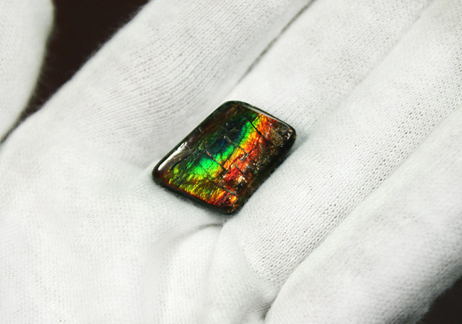 虹色グラデーション!宝石アンモライトのポテンシャルを存分に発揮した上質のピース(その3)