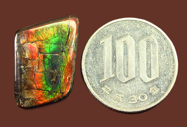 虹色グラデーション!宝石アンモライトのポテンシャルを存分に発揮した上質のピース(その9)