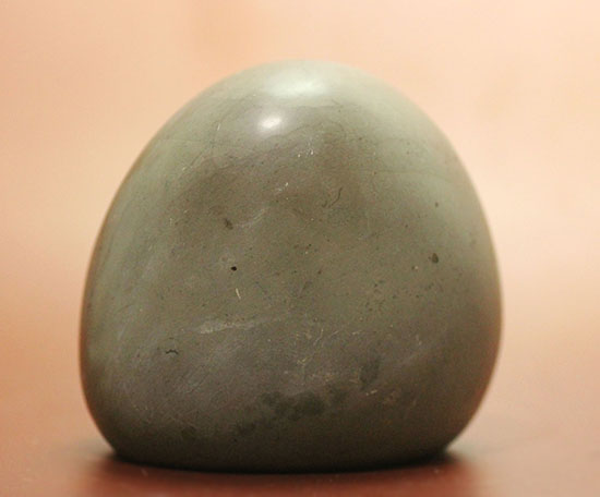 美品!典型的標本!イングランド産アンモナイト、ダクチリオセラス(Dactylioceras sp.)(その5)