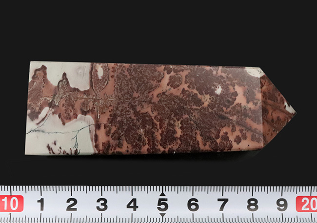 まるで樹枝が化石化したかのような精緻な模様!全面にデンドライトが広がる、見事なピクチャージャスパー(Picture Jasper)(その12)