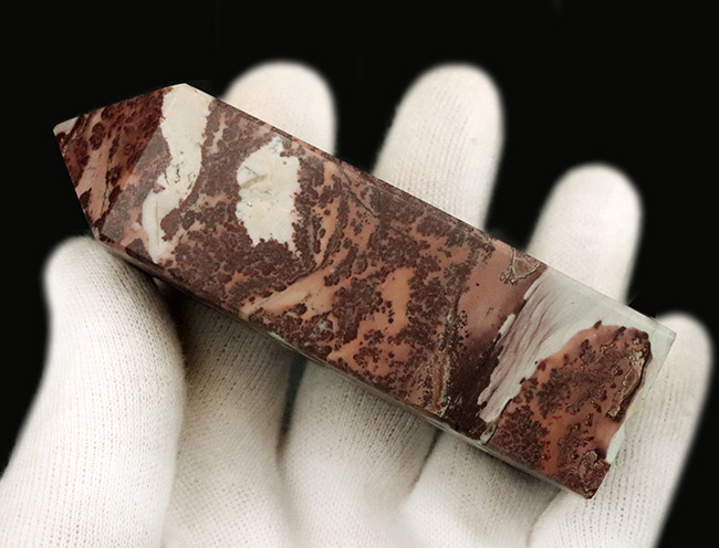 まるで樹枝が化石化したかのような精緻な模様!全面にデンドライトが広がる、見事なピクチャージャスパー(Picture Jasper)(その7)