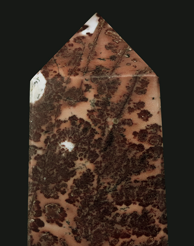 希少な逸品✨️デンドリティックピクチャージャスパー(ピクチャージャスパー)✨️ まるで樹枝が化石化したかのような精緻な模様！全面に