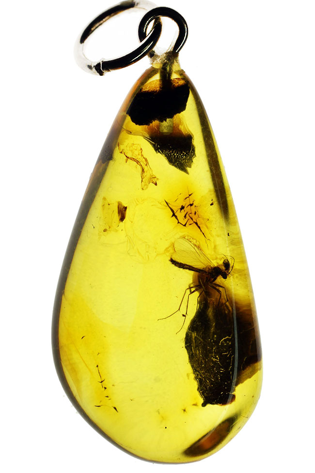 透明度高い！およそ４０００万年以上前の羽虫が内包されたバルト海産の琥珀を使ったペンダントトップ。高級ジュエリーケース付き。（その1）