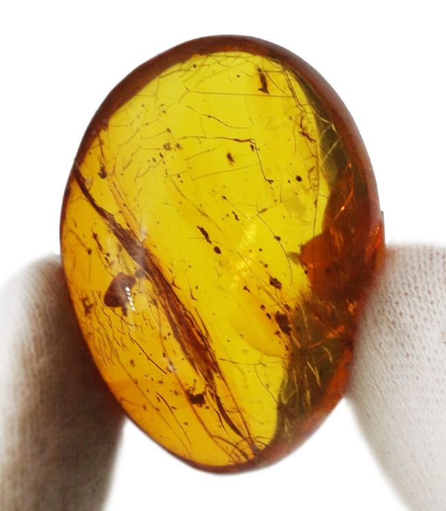ドミニカ産琥珀　虫入り琥珀　約4・5グラム ルース 虫入り琥珀 Amber | ビッグサイズ | ドミニカ産 | 中央