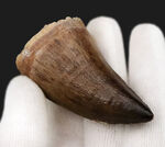 お客様の声　写真