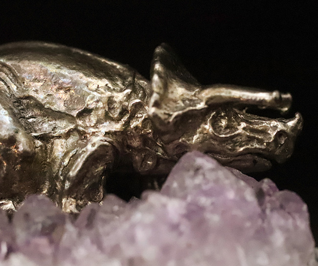 アメシストの剣山に、黄金のメタル・トリケラトプスが堂々と佇む、唯一無二のオブジェ（その6）