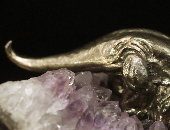 アメシストの剣山に、黄金のメタル・トリケラトプスが堂々と佇む、唯一無二のオブジェ（その7）