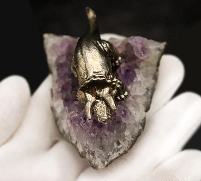 アメシストの剣山に、黄金のメタル・トリケラトプスが堂々と佇む、唯一無二のオブジェ（その8）