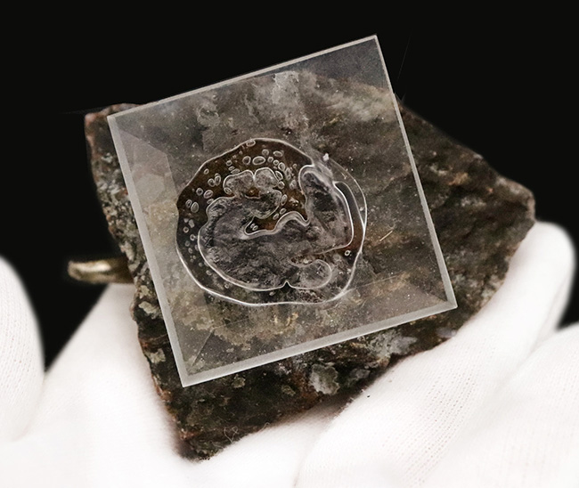 アメシストの剣山に、黄金のメタル・トリケラトプスが堂々と佇む、唯一無二のオブジェ（その9）