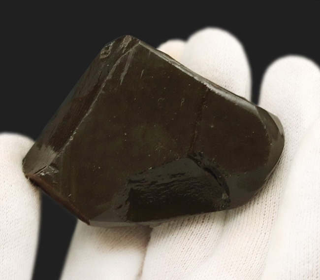 ドラゴンスキン模様が見られ、非常に濃い遊色を呈する、カナダ産の宝石、アンモライト（Ammolite）の天然石（その5）