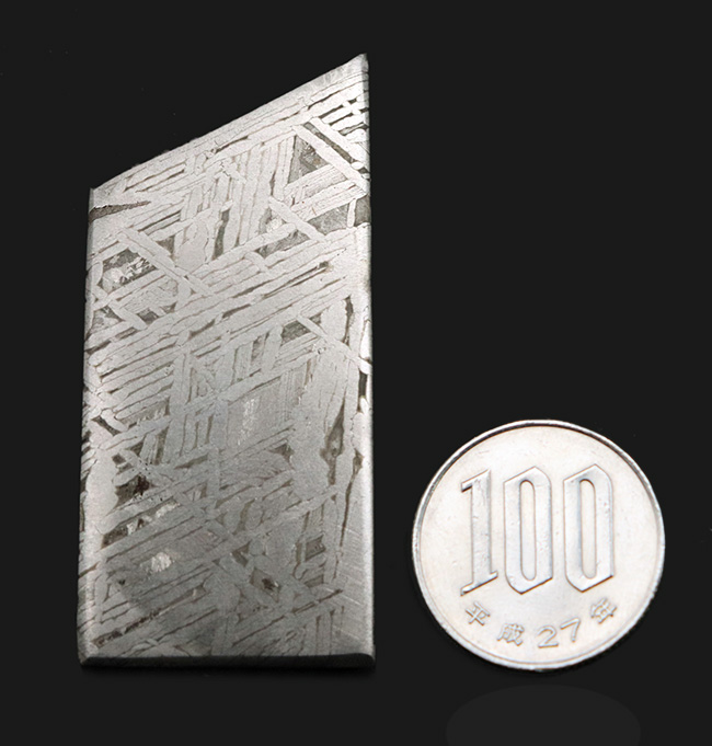 このプレートに壮大なストーリーが潜む!約100万年前にスウェーデンとフィンランドの国境付近に落下した鉄隕石、ムオニオナルスタ(Muonionalusta)。両面ともにウィドマンシュテッテン構造が見られます(その11)