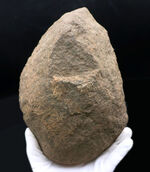 ６４年前に昭和基地近くで採取された南極の石。研究機関により長らく保存