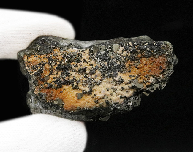 国内マニアックシリーズ！秋田県産の黄鉄鉱（Pyrite）標本（その5）