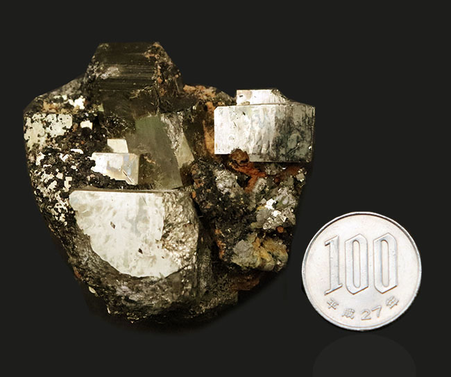 国内マニアックシリーズ！秋田県産の黄鉄鉱（Pyrite）標本（その7）