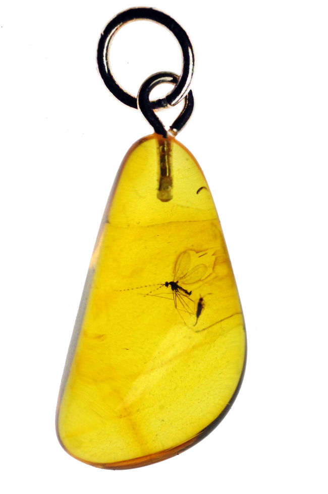 レアなタマバエ科の翅虫が内包されたバルト海産琥珀を使ったペンダントトップ（シルバーチェーン、革紐、高級ジュエリーケース付き）（その2）