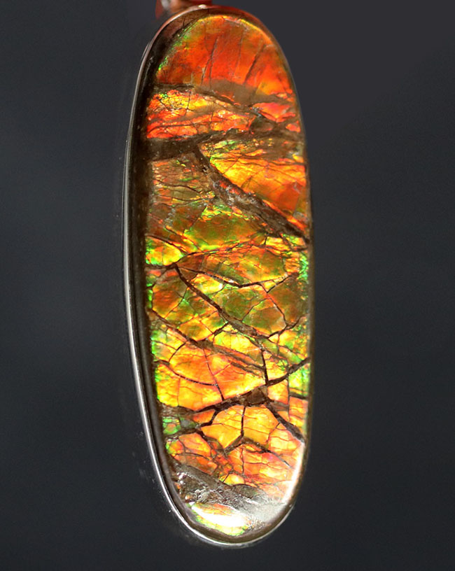 ビッグサイズ!ドラゴンスキン!遊色アンモナイトの王様、アンモライト(Ammolite)を使ったペンダントトップ。金具はスターリングシルバー。チェーン、革紐、ジュエリーケース付き(その10)