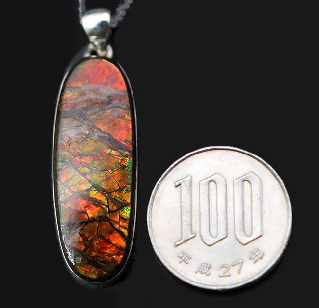 ビッグサイズ!ドラゴンスキン!遊色アンモナイトの王様、アンモライト(Ammolite)を使ったペンダントトップ。金具はスターリングシルバー。チェーン、革紐、ジュエリーケース付き(その11)