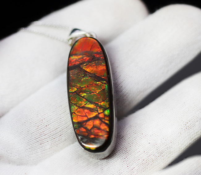ビッグサイズ!ドラゴンスキン!遊色アンモナイトの王様、アンモライト(Ammolite)を使ったペンダントトップ。金具はスターリングシルバー。チェーン、革紐、ジュエリーケース付き(その3)