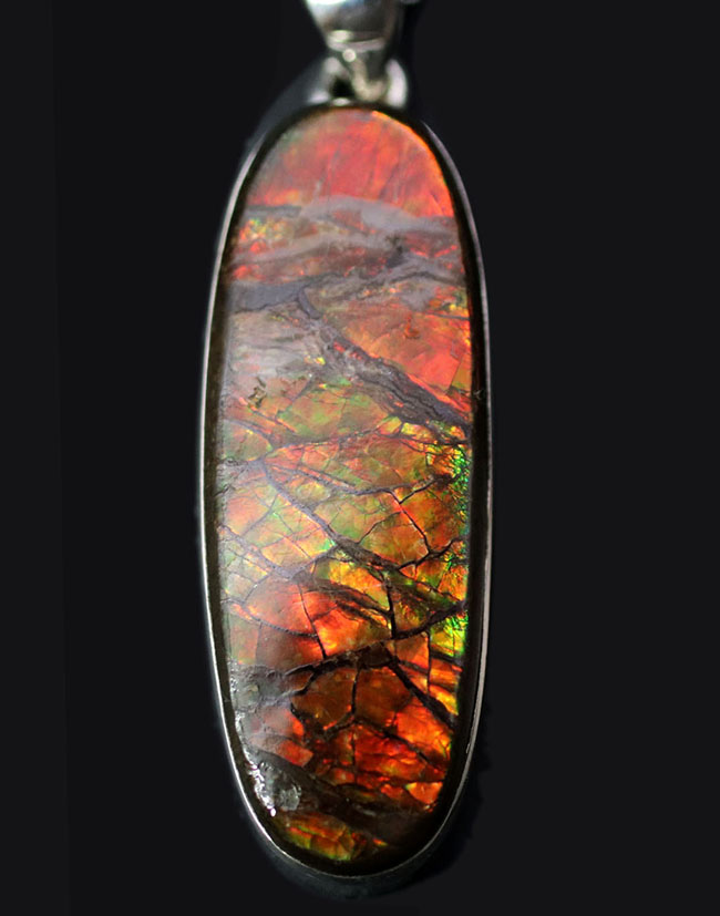 ビッグサイズ!ドラゴンスキン!遊色アンモナイトの王様、アンモライト(Ammolite)を使ったペンダントトップ。金具はスターリングシルバー。チェーン、革紐、ジュエリーケース付き(その7)