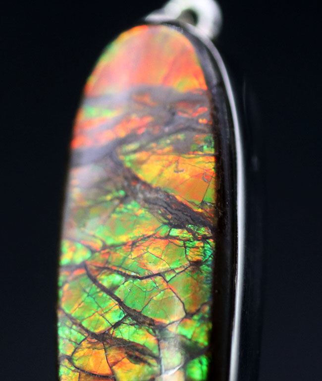 ビッグサイズ!ドラゴンスキン!遊色アンモナイトの王様、アンモライト(Ammolite)を使ったペンダントトップ。金具はスターリングシルバー。チェーン、革紐、ジュエリーケース付き(その8)