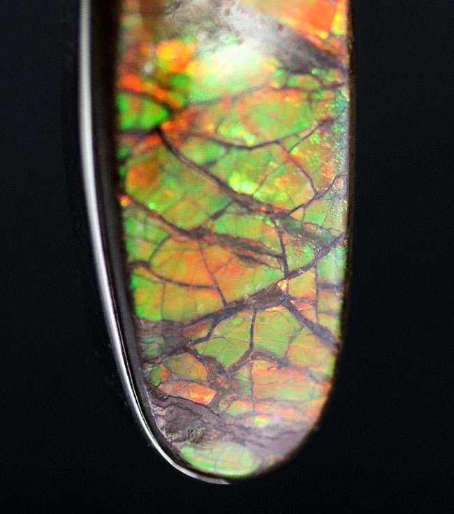 ビッグサイズ!ドラゴンスキン!遊色アンモナイトの王様、アンモライト(Ammolite)を使ったペンダントトップ。金具はスターリングシルバー。チェーン、革紐、ジュエリーケース付き(その9)