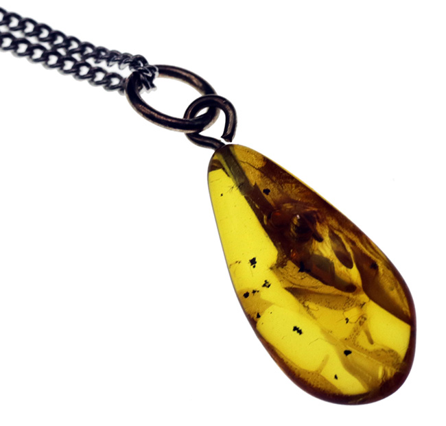 希少！甲虫を内包したバルト海産琥珀（Amber）を使ったペンダントトップ（シルバーチェーン、高級ジュエリーケース付き）（その1）
