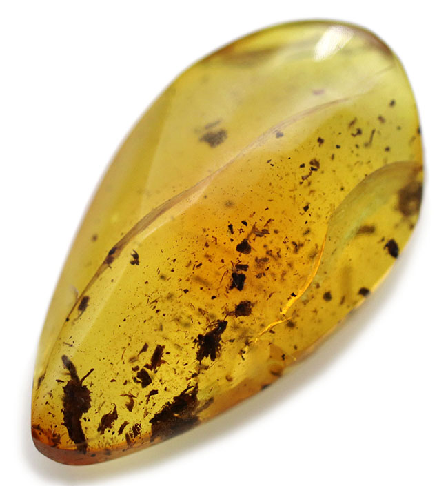 ４０００万年前の植物片を内包！レモンイエローに輝く、非常にフレッシュなバルト海産の琥珀（Amber）（その4）