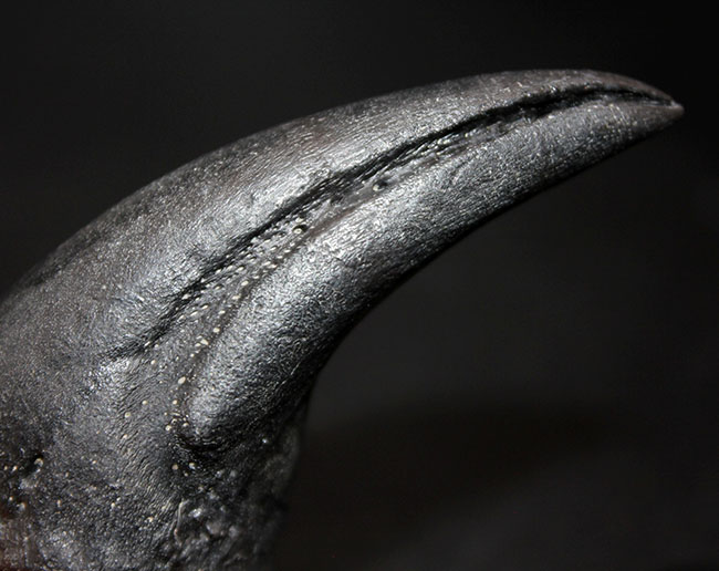 令和元年の最後を飾るのにふさわしいベストコレクション！およそ10年