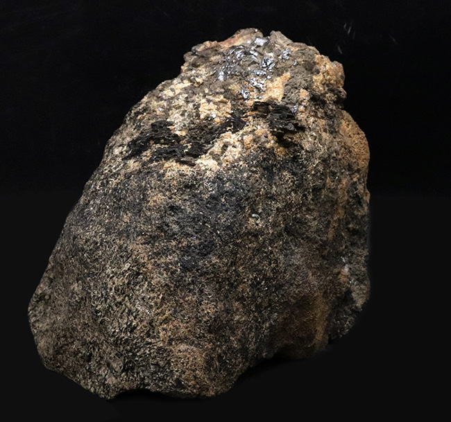 プレミアムな資料付き！南極観測隊員が所有していた南極の石（オングル