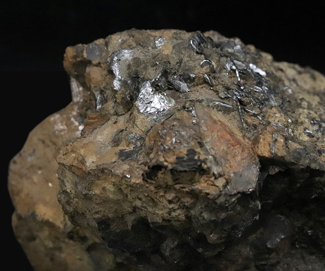 プレミアムな資料付き！南極観測隊員が所有していた南極の石