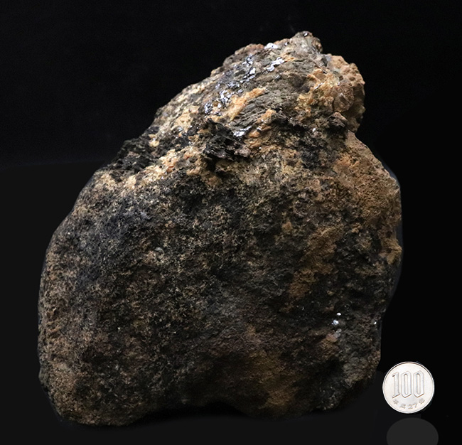 プレミアムな資料付き！南極観測隊員が所有していた南極の石（オングル