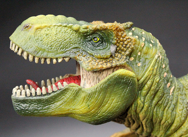 本物化石１個付き！ティラノサウルス恐竜フィギュア（アゴ可動式・送料無料・ラッピング無料）（その1）