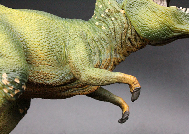 本物化石１個付き！ティラノサウルス恐竜フィギュア（アゴ可動式・送料無料・ラッピング無料）（その3）